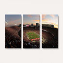 Ohio State University Buckeyes Football Team Print -