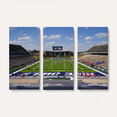 Rice University Owls Football Team Print - Houston Rice