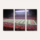 Rutgers University Scarlet Knights Football Team Print -