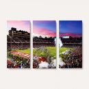 Stanford University Cardinal Football Team Print - Stanford