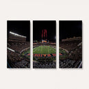 Framed Texas Tech Red Raiders Stadium Canvas, Texas Tech Red