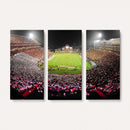 University of Maryland Terrapins Football Team Print -