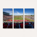 Ball State Cardinals Football Team Print - Muncie Scheumann