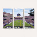 TCU Horned Frogs Football Team Print - Fort Worth Amon G.