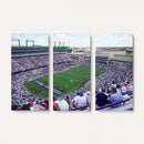 The Texas Christian University TCU Horned Frogs Football