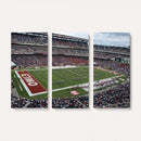 The Temple University Owls Athletics Team Print -