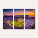 The Louisiana State University Tigers Football Team Print -