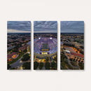 The Louisiana State University Tigers Football Team Print -
