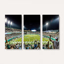 The Tulane University Green Wave Football Team Print - New