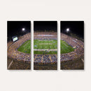 The University of Connecticut UCONN Huskies Football Team