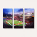 The University of Southern California USC Trojans Football