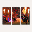 The University of Texas at San Antonio Roadrunners Football