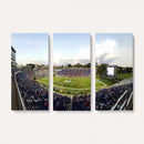 The Duke University Blue Devils Football Team Print - Durham