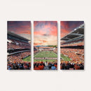 Oregon State Beavers Football Team Print - Corvallis Reser