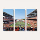 Oregon State Beavers Football Team Print - Corvallis Reser