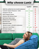 LX11 5-Piece Support for Abdominal Recovery & Lower Back Rest, Wedge Pillow Set, Ocean Blue