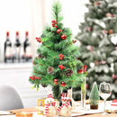 Set of 2 29 Inch Battery Powered Pre-lit Pathway Holiday Christmas Trees by DirectDeals