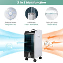 Indoor 3-in-1 Air Cooler by LJGDeals
