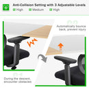 55 x 28 Inch Electric Adjustable Sit to Stand Desk with USB Port-Natural by LJGDeals