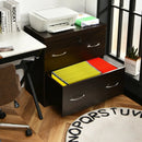 2-Drawer File Cabinet with Lock Hinging Bar Letter and Legal Size by LJGDeals
