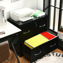 2-Drawer File Cabinet with Lock Hinging Bar Letter and Legal Size by DirectDeals