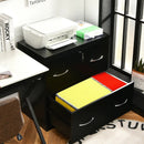 2-Drawer File Cabinet with Lock Hinging Bar Letter and Legal Size by LJGDeals