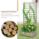 Raised Garden Bed with Trellis for Climbing Plants by LJGDeals