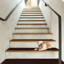 15 Pieces 30 x 8 Inch Slip Resistant Soft Stair Treads Carpet by LJGDeals