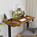 48-inch Electric Height Adjustable Standing Desk with Control Panel by LJGDeals