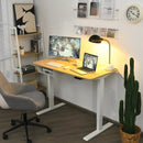 48-Inch Electric Standing Adjustable Desk with Control Panel and USB Port-Natural by LJGDeals