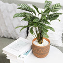 5.5 inch Black-Clay Color Geometric Pattern Pot