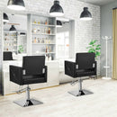 Salon Chair for Hair Stylist with Adjustable Swivel Hydraulic-Black by LJGDeals