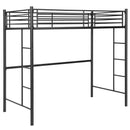 Twin Loft Bed Frame with 2 Ladders Full-length Guardrail by LJGDeals