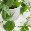 6 inch Reed Grey Round Cement Planter