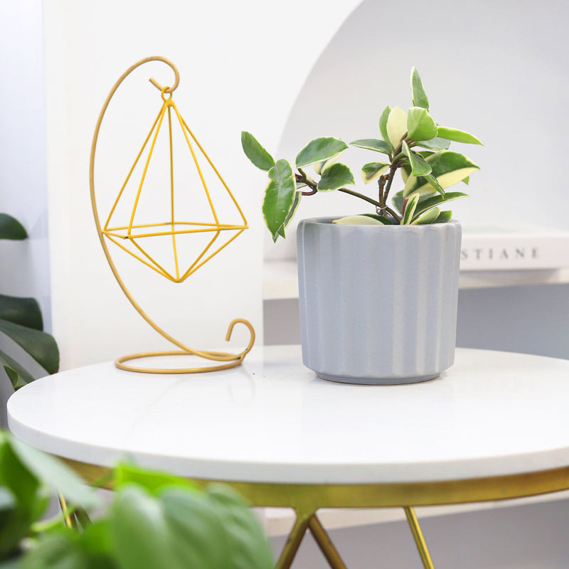 5 inch Grey Glazed Ceramic Cylinder Faux Cement Planter