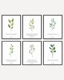 Bible verses set