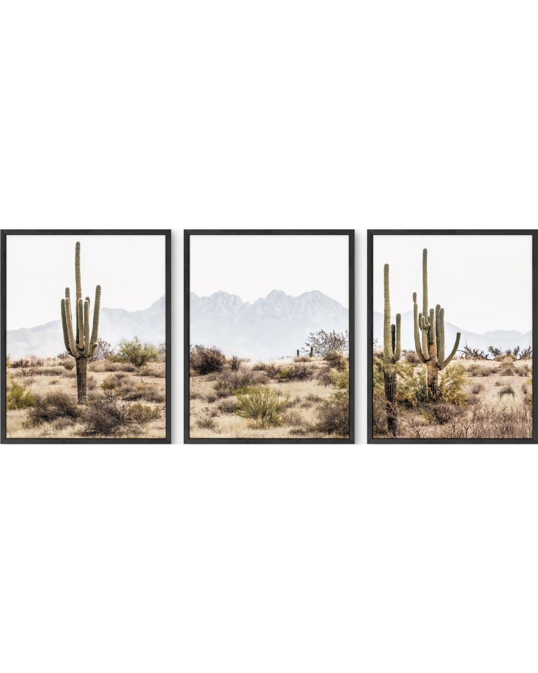 Desert