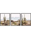Desert