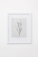 Enid Wall Art