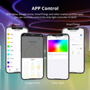 ZML3 Matter Over WiFi LED Strip Light Controller RGBCW - Smart LED Driver Compatible with Alexa, Google Home, and Apple Home App by Kings Outdoor Lighting