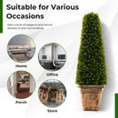 3 Feet Artificial Boxwood Topiary Tree with Cement Flowerpot-Green by LJGDeals