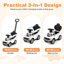 3-In-1 Licensed Ford Push Car for Toddlers by DirectDeals