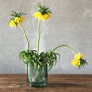 Opti Vase Tall