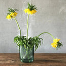 Opti Vase Tall by NUDE USA