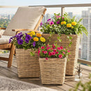 Rattan Planter Box Set - 3 Piece with Removable Liners by LJGDeals