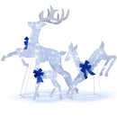 3 Pieces Lighted Christmas Reindeer Family Set with 255 Lights by DirectDeals