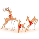 3 Pieces Lighted Christmas Reindeer Family Set with 255 Lights by LJGDeals