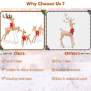 3 Pieces Lighted Christmas Reindeer Family Set with 255 Lights by DirectDeals