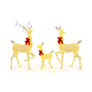 3 Pieces Lighted Family Deer Set with LED Lights and RGB Flashing Lights by LJGDeals