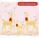 3 Pieces Lighted Family Deer Set with LED Lights and RGB Flashing Lights by LJGDeals